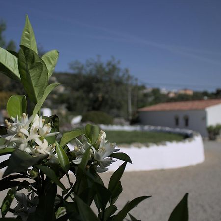 Cosy Farmhouse Quinta Da Eira 140 Years Old Лоле Екстер'єр фото