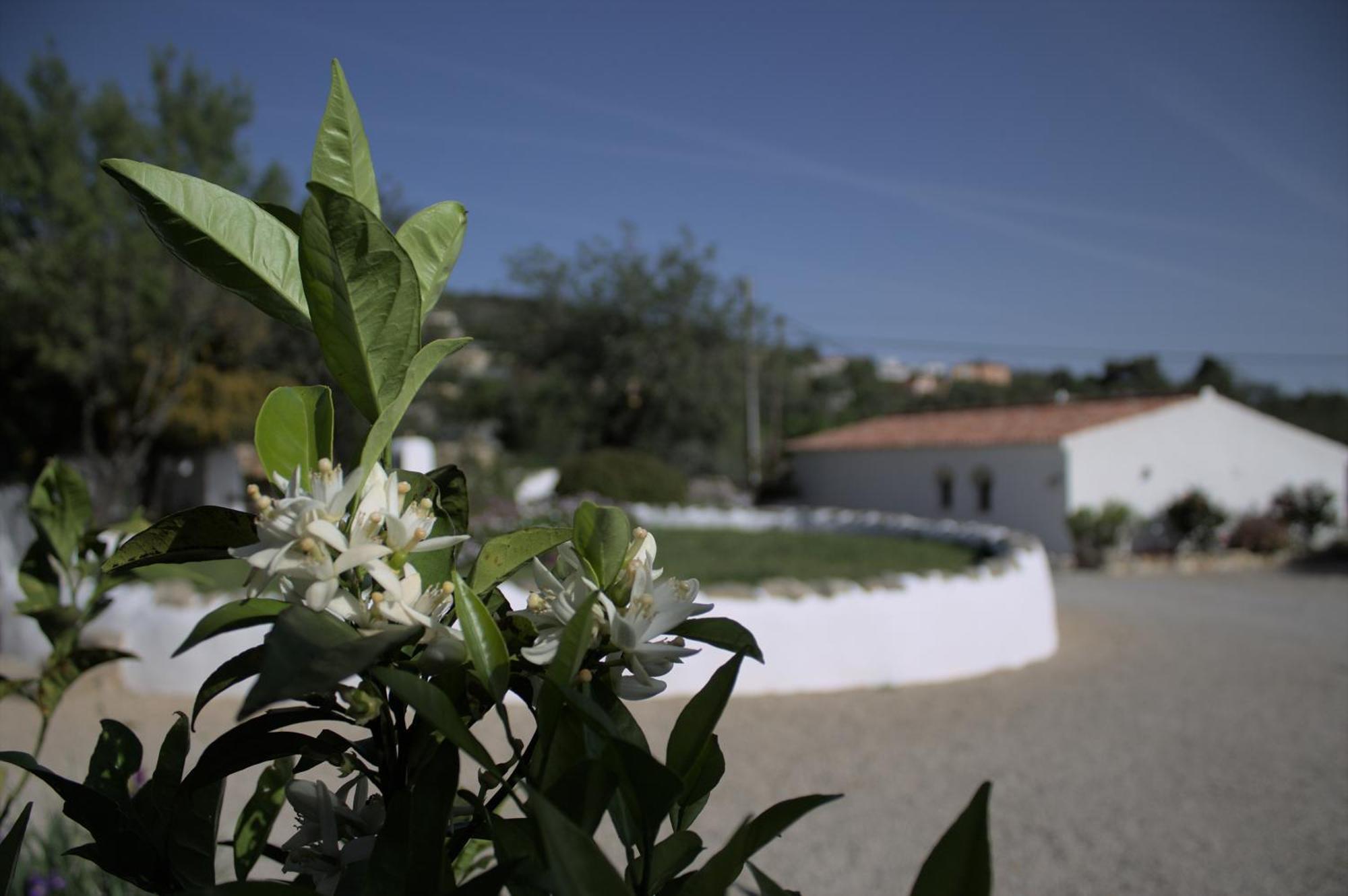 Cosy Farmhouse Quinta Da Eira 140 Years Old Лоле Екстер'єр фото